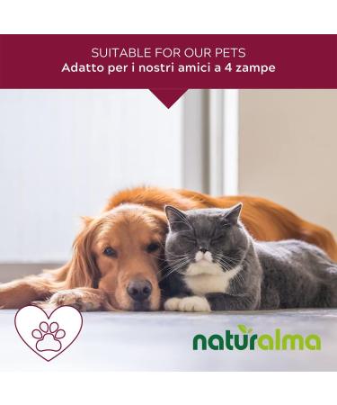 Vervain (Iron Herb) Bach Flower Drops - Naturalma No. 31 | Alcohol-Free Vegan 30ml Liquid Extract | Flower Essences for Holistic Wellness - Buy Online on GoSupps.com