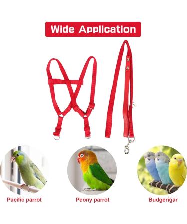 Felenny Bird Dishes & Adjustable Leash - Essential Outdoor Accessories for Scarlet Red Ara Sun Conure & Nymphensittich - Small Anti-Bite Solutions - Buy Online on GoSupps.com