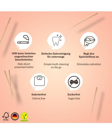 Wonder Toothpick - Fresh Breath Pack | Sugar-Free Flavored Toothpicks | Plastic-Free Chewing Gum for Smoking Cessation - Buy Online on GoSupps.com