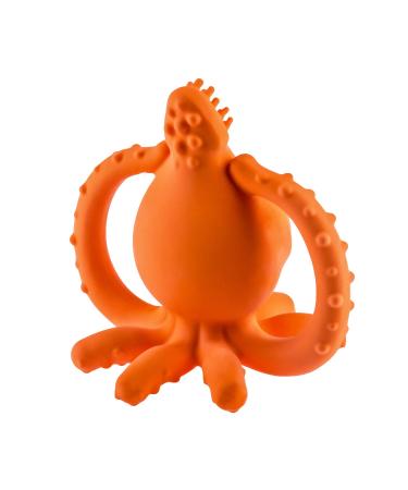 CaaOcho Pure Natural Rubber Baby Teether - Sqwiddle The Squid - BPA Free, Textured for Sensory Play, Sealed Hole Design, Ideal for Reaching Molars - Buy Online on GoSupps.com
