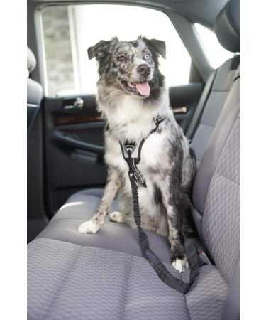 Stuff From Above Universal Dog Safety Belt | Adjustable 50-80cm | Elastic Jerk Damping for All Dog Breeds & Car Types - International Shipping Available - Buy Online on GoSupps.com