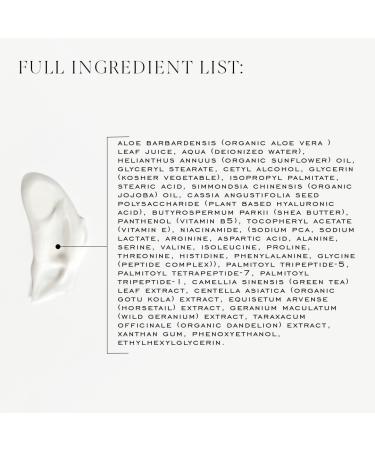 Good Night Face Cream | Moisturize & Nourish | Clean Biotech Ingredients | Sustainable Refill (1.7 oz - Buy Online on GoSupps.com