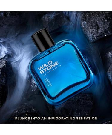 Wild Stone's Hydra Energy Premium Eau De Parfum for Men 100ml|Long Lasting Perfume|Luxury Wild Stone perfume 100 ml (Pack of 1) - Buy Online on GoSupps.com