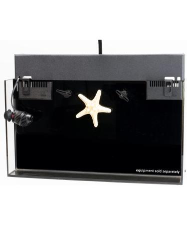 InTank Filtration Cover for IM Fusion 20 & Lagoon 25 - Fusion & PRO 1 Models - Buy Online on GoSupps.com