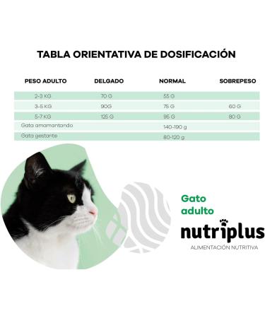 NUTRIPLUS Cats Adult (2 KG) - Buy Online on GoSupps.com