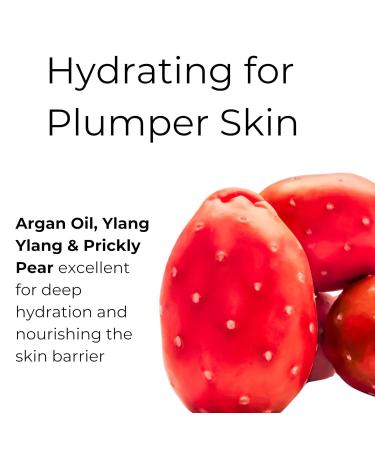 Noor Skincare Face Oil for Glowing Skin & Gua Sha Massage 100% Natural with Rosehip Jojoba Argan & Vitamin E Anti Aging Night Serum for Skin Tightening & Fine Lines Women/Men (30ml) - Buy Online on GoSupps.com