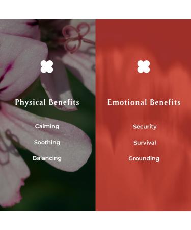 INNA Organic Sheet Mask Set Anti-Aging & Hydrating EWG & COSMOS Certified (Pack of 5) | First Pick Discovery Set | Luxury Clean Beauty - Buy Online on GoSupps.com