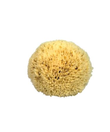 CROLL&DENECKE P190 natural sponge natural 19cm 1 piece (1 pack)