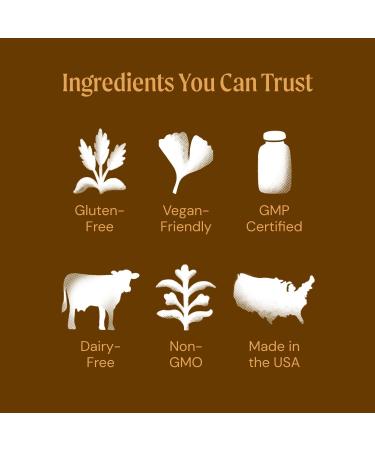 Ameo Life Hydrate Electrolyte Powder Clean No Sugar Mineral-Rich Hydration Blend for Energy Performance & Recovery - 30-Servings Passion Mango Orange - Buy Online on GoSupps.com