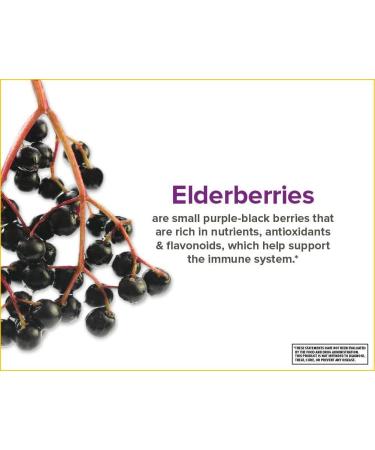 Zarbee's Nighttime Black Elderberry Immune Support - 8 fl oz | Sleep & Wellness Supplement - Buy Online on GoSupps.com