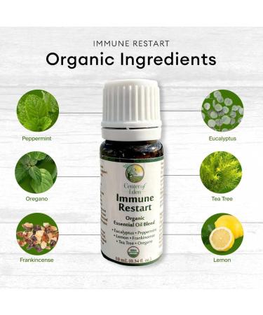 Immune Restart - Organic Essential Oil Blend for Immune Support | 100% Pure Non-GMO Eucalyptus Peppermint Tea Tree Lemon Frankincense Oregano - Buy Online on GoSupps.com