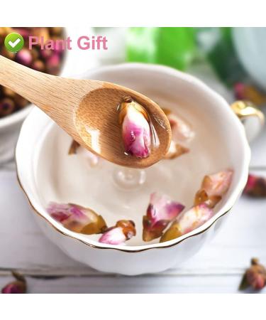 PlantGift Wlid Peach Blossom Flowers Dried 80G/2.82oz Health Tea Marigold Tea Pure Herbal Tea Peach Blossom Tea Caffeine-Free No GMOs Chinese Tea - Buy Online on GoSupps.com