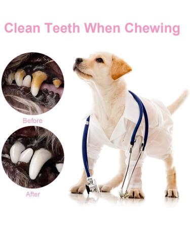 Buy An Verse Dog Toy Rope Set - 4 Durable Interactive Toys for Small & Medium Puppies | Natural Cotton Pink - Buy Online on GoSupps.com