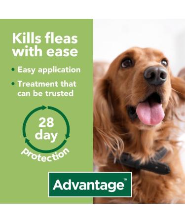 Advantage 250 Flea Spot On Treatment For Dogs 1 Pipette 2.5ml 10-25kg - Buy Online on GoSupps.com