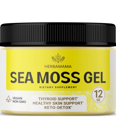 HERBAMAMA Sea Moss Gel 12 oz - Organic Seamoss Gel for Adults - Wildcrafted Irish Sea Moss Gel - Vegan Sea Moss Supplement for Thyroid Skin & Hair Support - Dr Sebi Irish Moss Gel Organic Raw 12 Ounce (Pack of 1)