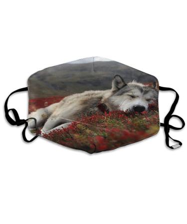 Breathable premium facial protection cover wolf sleeps in the grassland women men anti wind dust protection protective cover for skiing camping travel safety daily use