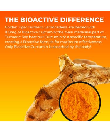 Golden Tiger Organic Sparkling Turmeric Lemonade - Original | Bio Active Curcumin + Ginger - 12 Cans | Caffeine Free - Plant Based Immunity Support - Buy Online on GoSupps.com