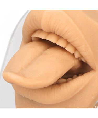 Realistic Tongue Model for Research | Lifelike Tongue Mouth Model with Acrylic Holder - Skin Color - Buy Online on GoSupps.com