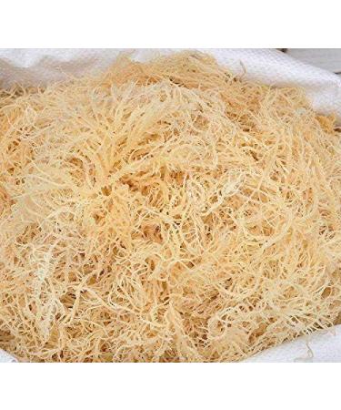 Gold Sea Moss Chinese Dried Seamoss for Food 250G - Buy Online on GoSupps.com