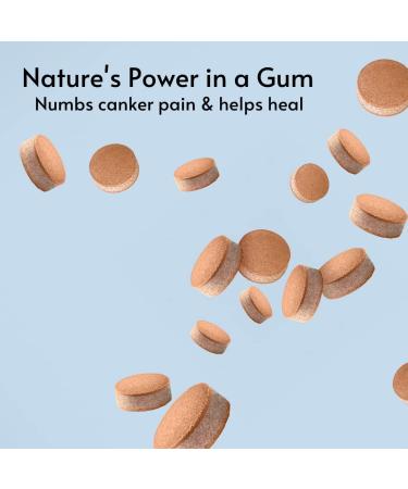 ZINBI Oral Irritation Chewing Gum (12 Count) - Natural Pain Relief for Canker Sores & Mouth Ulcers - Buy Online on GoSupps.com