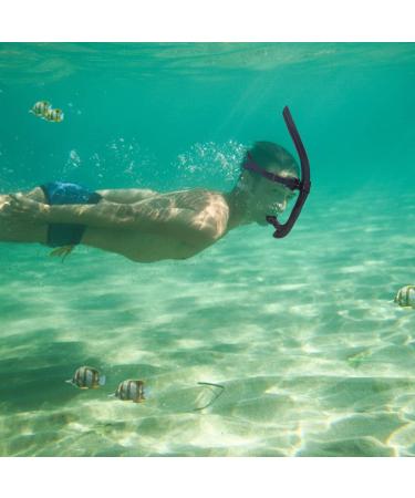 Spinosaurus Swim Snorkel for Lap Swimming and Training - Comfortable Silicone Mouthpiece - One-Way Purge Valve - Easy Breathing for Pool and Open Water - Black - Buy Online on GoSupps.com