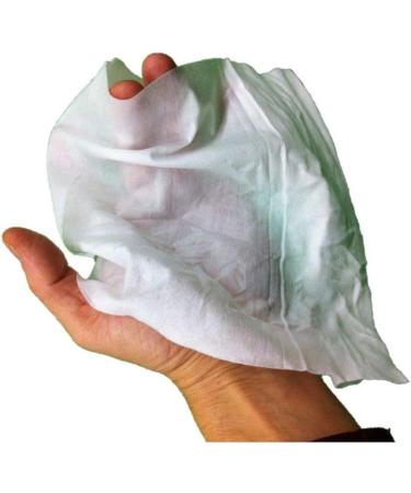 Prima Wipes Adult Washcloths 12 Pack Case - 48 Extra-Large 9x13 Wipes/Pack - Buy Online on GoSupps.com
