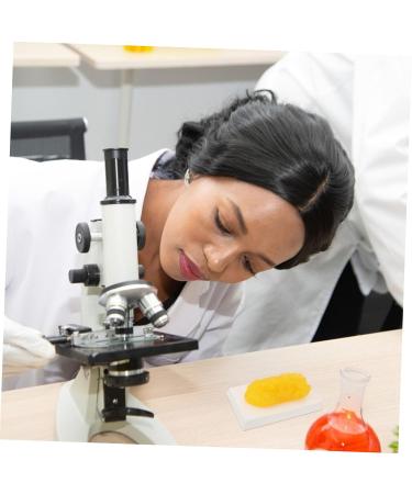 Gatuida Anatomical Fat 3pcs Fat Model Models Demonstration Model Human Fat Anatomical Body Fat Replica Human Body Module - Buy Online on GoSupps.com