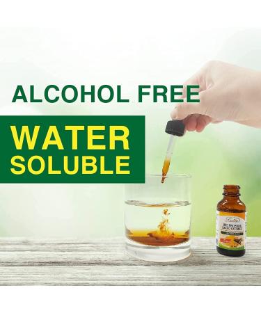 Lovita Bee Propolis 500mg Ultra Strength Extract, Alcohol-Free Liquid Supplement for Immune Support & Sore Throat Relief - 1.01 Fl Oz - Buy Online on GoSupps.com