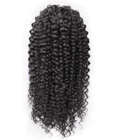 ColorfulPanda Afro Kinky Curly Ponytail - 16 Inches Black | Synthetic Hair Extension for Black Women with Clip-in Hairpiece - Buy Online on GoSupps.com