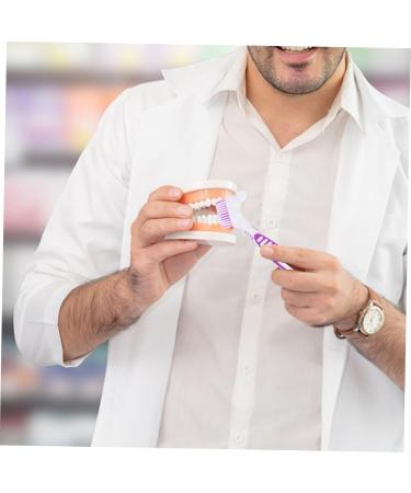 Buy Bcoath 2-Piece Dual-Sided Cleaning Brush for Prostheses & Braces | Best Toothbrush for Effective Cleaning - Buy Online on GoSupps.com