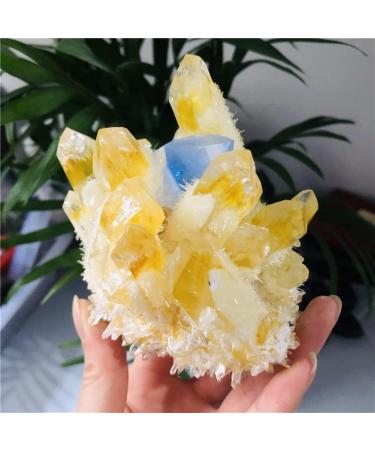 Natural Ghost Phantom Quartz Crystal Cluster Rock Stones and Crystals Specimen Home Deco NaturalReiki Decoration Home Goods (Size : 900-1000g) - Buy Online on GoSupps.com