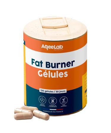 Bruleur de graisse Carnitine CARNIPURE - Th vert - Guarana 1 mois D stockage des graisses - Boost du m tabolisme - nergie Test en laboratoire Made in FR Aqeelab Fat Burner