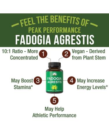 Fadogia Agrestis Ultra High Strength 10:1 Extract - Vegan Capsules for Energy & Athletic Performance | USA Tested Supplement - Buy Online on GoSupps.com