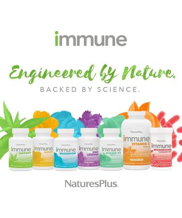 Nature's Plus Immune Mushroom Capsules - 60 Count for Boosting Immunity - Buy Online on GoSupps.com