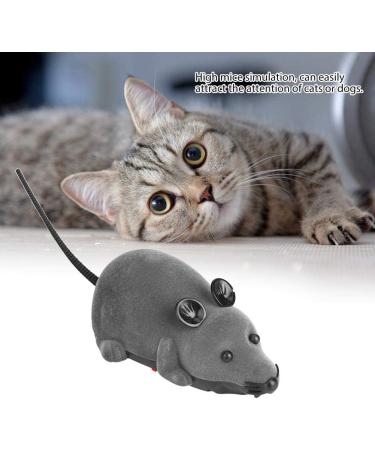 Mouse Cat Toy Wireless Remote Control Funny Rat Toy with 2 Modes Cat Dog Fake Mice Toy for Kids Children Adults(Grey/Brown)(Gray) - Buy Online on GoSupps.com