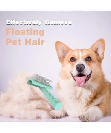 Large Firm Slicker Brush for Goldendoodles - Extra Long Pin Wire Brush for Dogs - Green - 25mm - Pet Grooming Tool for Deshedding and Undercoat Removal - Buy Online on GoSupps.com