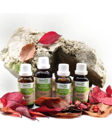 HERBALGEM - Macerate Mother - Organic Walnut - Food Supplement Gemmotherapy Concentrated - Fresh Bud Extract - For Digestion & Intestinal Flora - 30 ml - Buy Online on GoSupps.com
