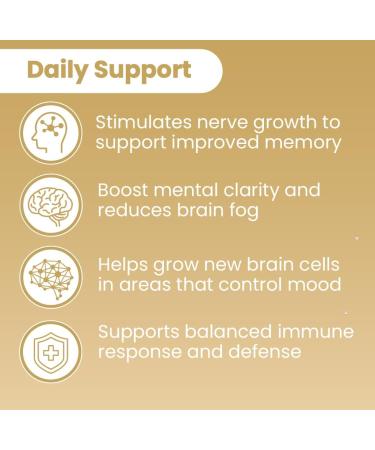 Sanar Naturals Lions Mane Supplement Capsules - Focus, Memory and Brain Function Support - Mushroom Lions Mane Powder Supplement Nootropic - Non-GMO, Gluten-Free, 120 Pills - Buy Online on GoSupps.com