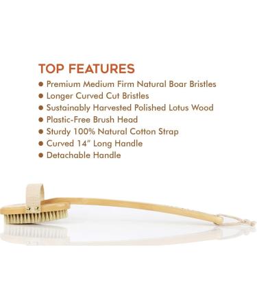 Soft Bristle Back Body Brush Exfoliator - Stimulates Lymph, Smooths Cellulite, Naturally Exfoliates Dead Skin - Bhalli Products - Buy Online on GoSupps.com