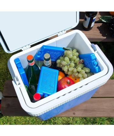 PARENCE Set of 2 500ml cooling pads nontoxic and durable ideal for lunch picnics trips camping and coolers - Buy Online on GoSupps.com