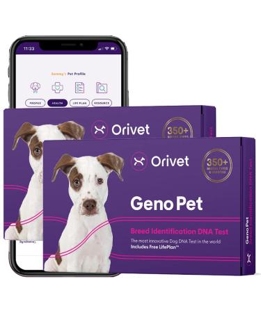 2 Pack Orivet Dog DNA Test | Genopet Dog Breed ID Test Kit, Genetic Testing, Heritable Health Risks and Life Plan