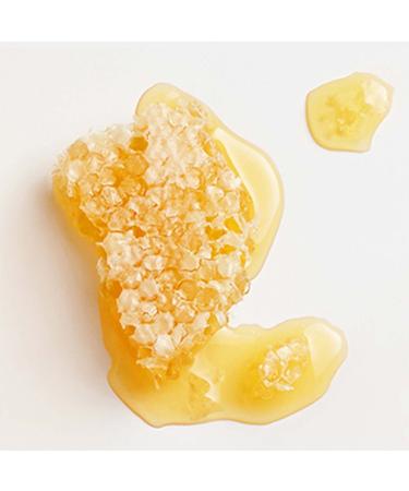 Garnier Whole Blends Repairing Shampoo - Honey Treasures 22oz | Nourish & Strengthen Hair - International Shipping Available - Buy Online on GoSupps.com