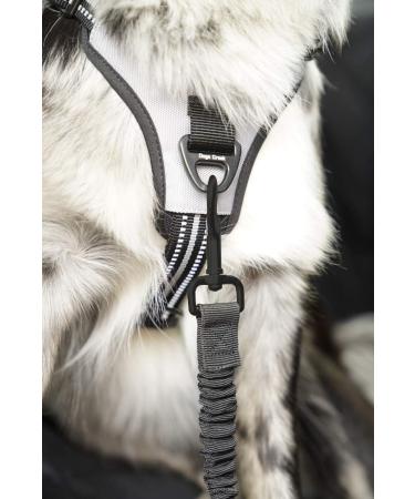 Stuff From Above Universal Dog Safety Belt | Adjustable 50-80cm | Elastic Jerk Damping for All Dog Breeds & Car Types - International Shipping Available - Buy Online on GoSupps.com