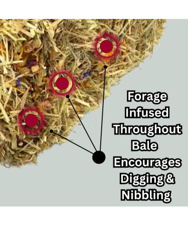 Springtime Forage Infused Baby Hay Bale for Rabbits and Guinea Pigs Fresh Fragrant Green Feeding Timothy Hay Dust Free High Fibre Dried Forage - Buy Online on GoSupps.com
