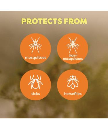 OFF Deep Woods Insect and Mosquito Repellent for Sportsmen Bug Spray for Camping Bug Repellent Safe for Clothing 230 g 2pk (Packaging May Vary) - Buy Online on GoSupps.com