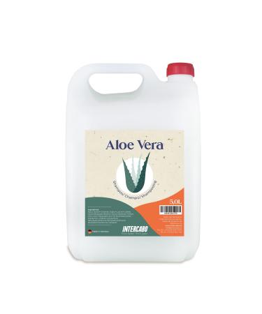 INTERCABO- Aloe vera shampoo in 5L refill can | Hair shampoo can with practical spout | Aloe Vera Gentle shampoo, aloe vera based shampoo.