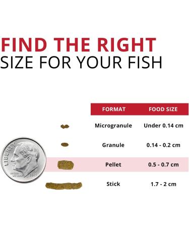 Fluval Bug Bites Cichlid Fish Food 3.53 oz - Nutritious Formula for Healthy Cichlids - Buy Online on GoSupps.com