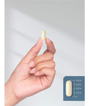 Amino Acid Complex 3000mg | 360 Caplets | Non-GMO & Gluten Free | Horbaach - Buy Online on GoSupps.com