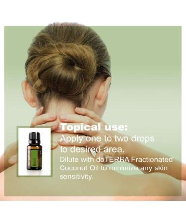 Buy doTERRA Basil Essential Oil 15 mL - Pure & Natural | International Shipping Available - Buy Online on GoSupps.com