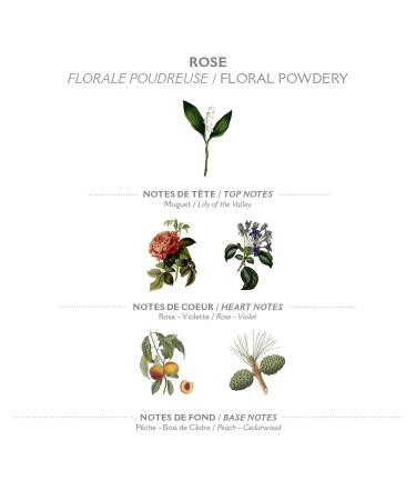 Panier des Sens Rose Hand Cream with Olive Oil & Shea Butter - 1 Fl Oz (30ml) - Made in France - 97% Natural - Buy Online on GoSupps.com